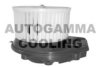 AUTOGAMMA GA20010 Interior Blower